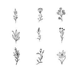 Instagram Cover Highlight Icon. Black Flower logo element. Hand drawn plants. Natural Instagram Story. Simple doodle. Instagram Story Highlight Icon. 