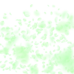 Green flower petals falling down. Precious romanti
