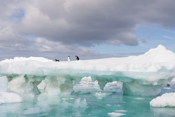 Antarctica landscape with icebergs and on a cloudy winter day