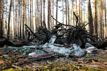 Big heap plastic and glass bottles waste in pine forest. Nature woods landscape environment polluted by human rubbish recyclable litter. Ecology contamination disaster danger