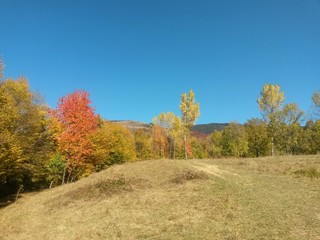 fall season at the mountain with colorfully trees, meadows and hills