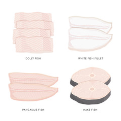 Set of raw fish slice and meat steaks isolated on a white background. Cartoon Vector illustration