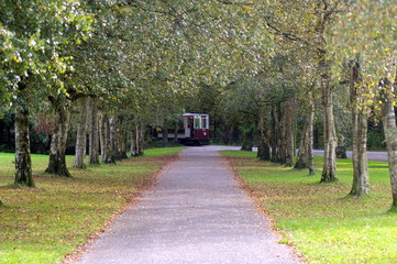 Tram and trees in Heaton Park