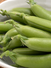 生のスナップエンドウ