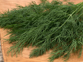 ハーブ　ディル