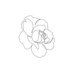 Minimalist rose drawing. Line art tattoo design. Simple trendy floral sketch. Concept for logo, card, banner, poster, flyer. - Vector illustration