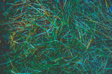 abstract background of green