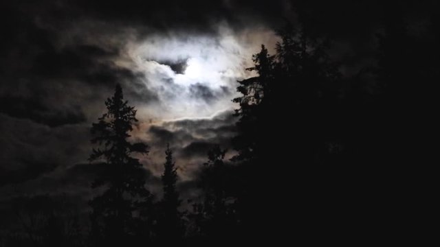 Time-lapse of clouds passing by a full moon with tree silhouettes in-front