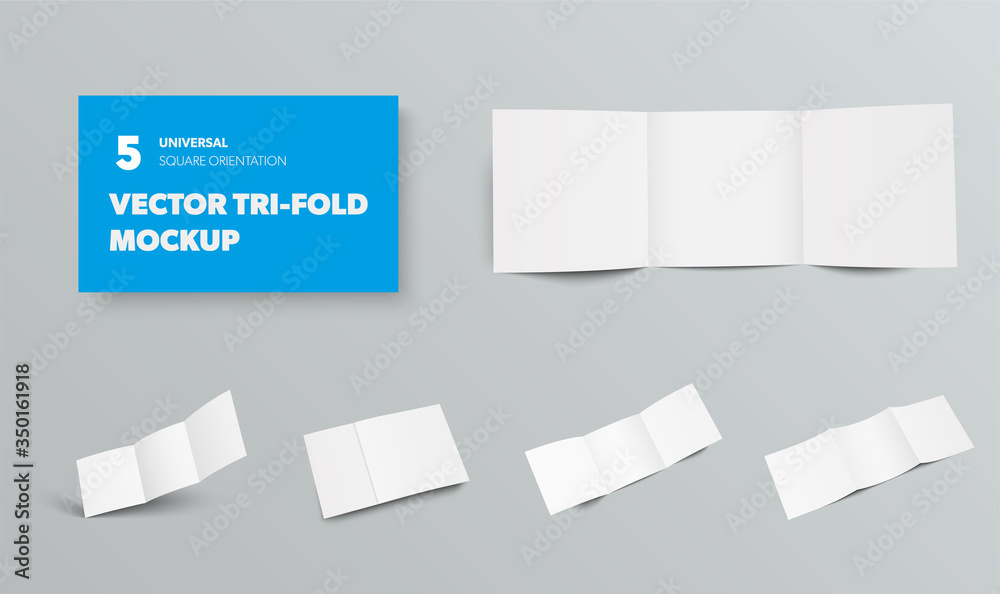 Leinwandbilder template of vector standard square tri-fold isolated on gray background, open and closed business br