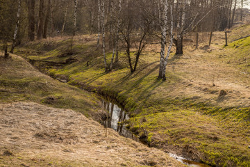 green hills with trees and a winding stream
