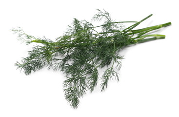 Fresh green dill isolated on white background