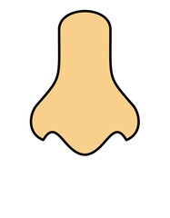 鼻(色線)