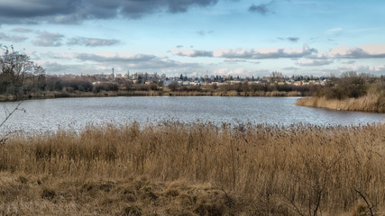 Jezioro, trzciny, widok miasta w tle © Krzysztof