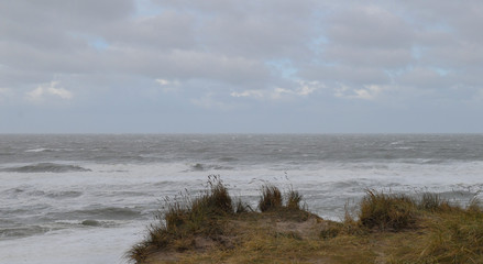 Küstenlandschaft und Strand von der Insel Sylt