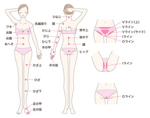 女性 脱毛 全身