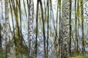 Fototapeta na wymiar trees around the lake reflected in the water