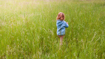Child walks through tall grass. Child stands alone in the green field. Young child is playing in the tall grass. Kind geht durch hohes Gras. Kind steht alleine im gr&uuml;nen Feld. Kind spielt im Gras.