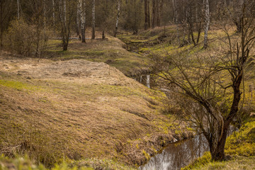 green hills with trees and a winding stream