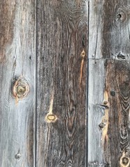 Old wooden background of boards with cracked and peeling paint. Vintage texture with knots and nail holes