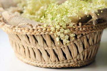 Spring Elderflowers In Basket On Table