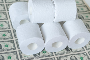 toilet paper rolls dollars on a light background