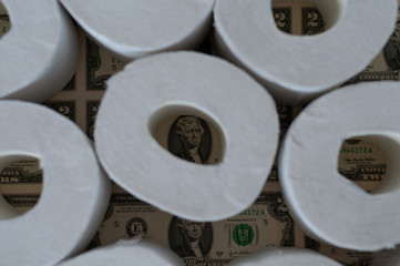 toilet paper rolls dollars on a light background