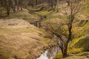 green hills with trees and a winding stream