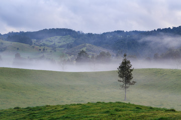 Mist settling over farming country with rolling hills. Photographed in New Zealand