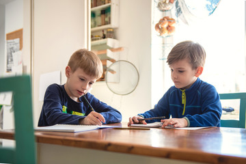 Brothers learning at home, Homeschooling	