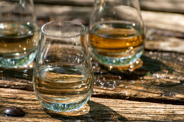 Tasting of different Scotch whiskies on outdoor terrace, dram of whiskey
