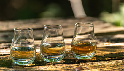 Tasting of different Scotch whiskies on outdoor terrace, dram of whiskey