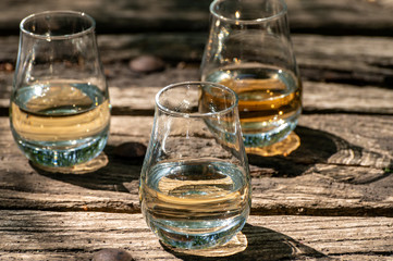 Tasting of different Scotch whiskies on outdoor terrace, dram of whiskey