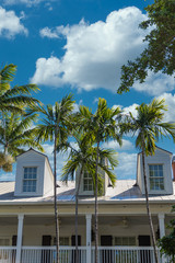 Fototapeta na wymiar Three Dormers Behind Palm Trees in Key West