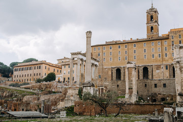 Obraz premium The ancient ruins of the Roman Forum and Palatine hill. Rome, Italy