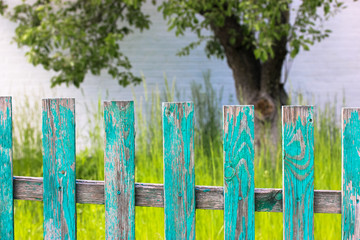 Green fence against the background of juicy grass in the village in summer.