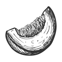 Sketch of pumpkin slices.Doodle style. Drawing of a piece of ripe pumpkin with seeds with hatching and texture. Hand drawn and isolated on white. Can be used for thanksgiving, recipes, menus