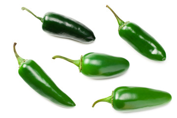 jalapeno peppers isolated on white background. Green chili pepper. Capsicum annuum. top view
