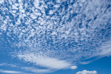 Beautiful white cirrus clouds on summer blue sky background.
