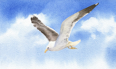 A seagull flying in a blue sky hand drawn in watercolor. Picturesque cloudscape. Watercolor illustration.