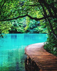 Pier In Lake Amidst Trees