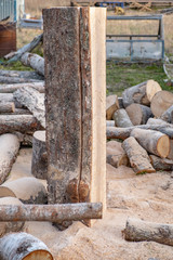 Fototapeta premium a longitudinally sawn log stands on the ground. Board making at home