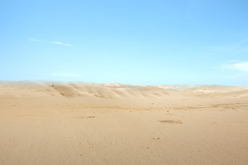 Views of sand dune