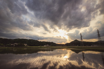 Fototapete bei efototapeten.de bestellen   