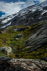 Valley of snow and moss on the road to Dalsnibba in Norway. Vertical wallpaper