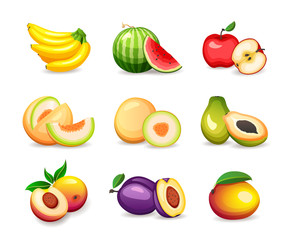 Set of different tropical fruits isolated on white background, vector illustration in flat style