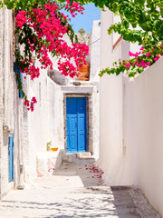 Fototapeta na wymiar Old beautiful Santorini street with blue door and bougainvillea flowers. Cyclades, Greece.