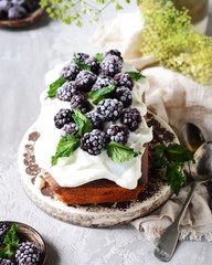 Cake with cream and blackberries on the plate on a gray background, still life