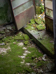 old abandoned building floor door entrance with moss on the ground and piece of broken window glass room