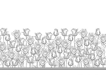Outline roses seamless pattern, background. Black and white graphics. Vector illustration.