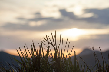 Mountainous landscape of the Tramuntana mountains. 
 Sunset time at Andratx village in Majorca